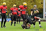 Düsseldorf Bulldozer vs. Aachen Düren Demons - 14.09.2013 Düsseldorf Bulldozer vs. Aachen/Düren Demons (62:0)