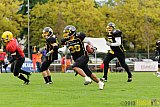 Düsseldorf Bulldozer vs. Aachen Düren Demons - 14.09.2013 Düsseldorf Bulldozer vs. Aachen/Düren Demons (62:0)