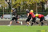 Düsseldorf Bulldozer vs. Aachen Düren Demons - 14.09.2013 Düsseldorf Bulldozer vs. Aachen/Düren Demons (62:0)