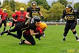 Düsseldorf Bulldozer vs. Aachen Düren Demons - 14.09.2013 Düsseldorf Bulldozer vs. Aachen/Düren Demons (62:0)