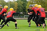 Düsseldorf Bulldozer vs. Aachen Düren Demons - 14.09.2013 Düsseldorf Bulldozer vs. Aachen/Düren Demons (62:0)