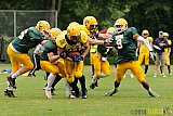 Cologne Crocodiles vs. Elmshorn Fighting Pirates - 12.07.2014 GFL2 Nord: Cologne Crocodiles vs. Elmshorn Fighting Pirates (43:12)