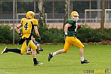 Cologne Crocodiles vs. Elmshorn Fighting Pirates - 12.07.2014 GFL2 Nord: Cologne Crocodiles vs. Elmshorn Fighting Pirates (43:12)