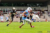 Bonn Gamecocks vs. Paderborn Dolphins - 08.08.2015 GFL2 Nord: Bonn Gamecocks vs. Paderborn Dolphins (49:35)