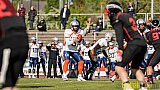 Düsseldorf Panther vs. Rostock Griffins - 29.04.2017 GFL2: Düsseldorf Panther vs. Rostock Griffins (39:14)