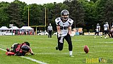 Düsseldorf Panther vs. Langenfeld Longhorns - 14.05.2017 GFL2: Düsseldorf Panther vs. Langenfeld Longhorns (47:06)