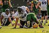 Cologne Crocodiles vs. Berlin Rebels - 11.06.2017 GFL Nord: Cologne Crocodiles vs. Berlin Rebels (34:29)