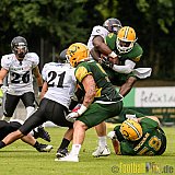 Cologne Crocodiles vs. Berlin Rebels - 11.06.2017 GFL Nord: Cologne Crocodiles vs. Berlin Rebels (34:29)
