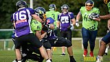 Langenfeld Longhorns vs. Essen Assindia Cardinals - 03.09.2017 GFL2: Langenfeld Longhorns vs. Essen Assindia Cardinals (45:30)