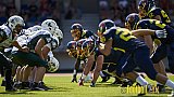 Essen Assindia Cardinals vs. Bielefeld Bulldogs - EssenAssindiaCardinalsVsBielefeldBulldogs