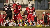 Düsseldorf Panther vs. New Yorker Lions - DPantherVsNewYorkerLions