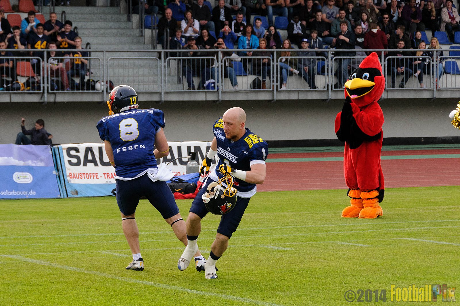 Essen Assindia Cardinals vs. Köln Falcons - 12.04.2014 Essen Assindia Cardinals vs. Köln Falcons (9:61)
