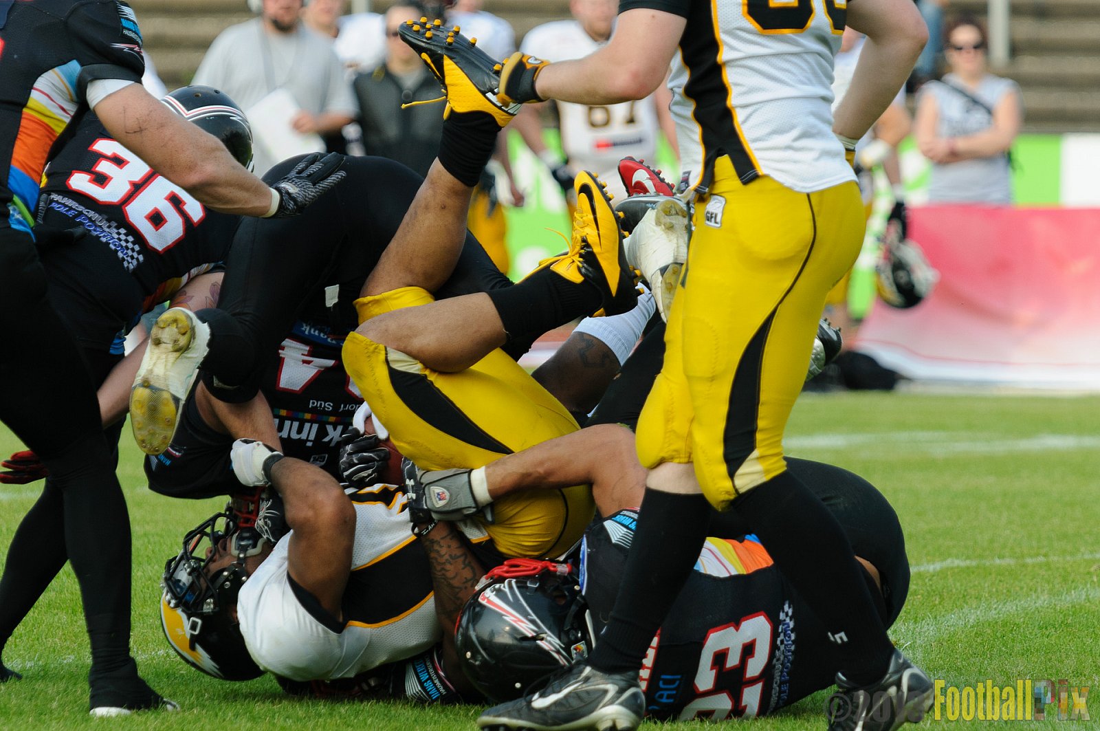 Düsseldorf Panther	vs. Berlin Adler  - 08.06.2013 GFL Nord: Düsseldorf Panther vs. Berlin Adler (10:27)