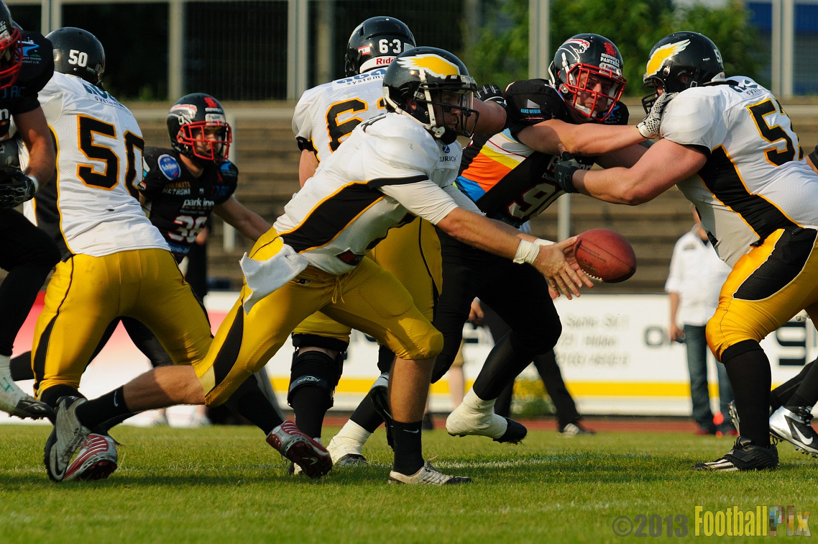 Düsseldorf Panther	vs. Berlin Adler  - 08.06.2013 GFL Nord: Düsseldorf Panther vs. Berlin Adler (10:27)