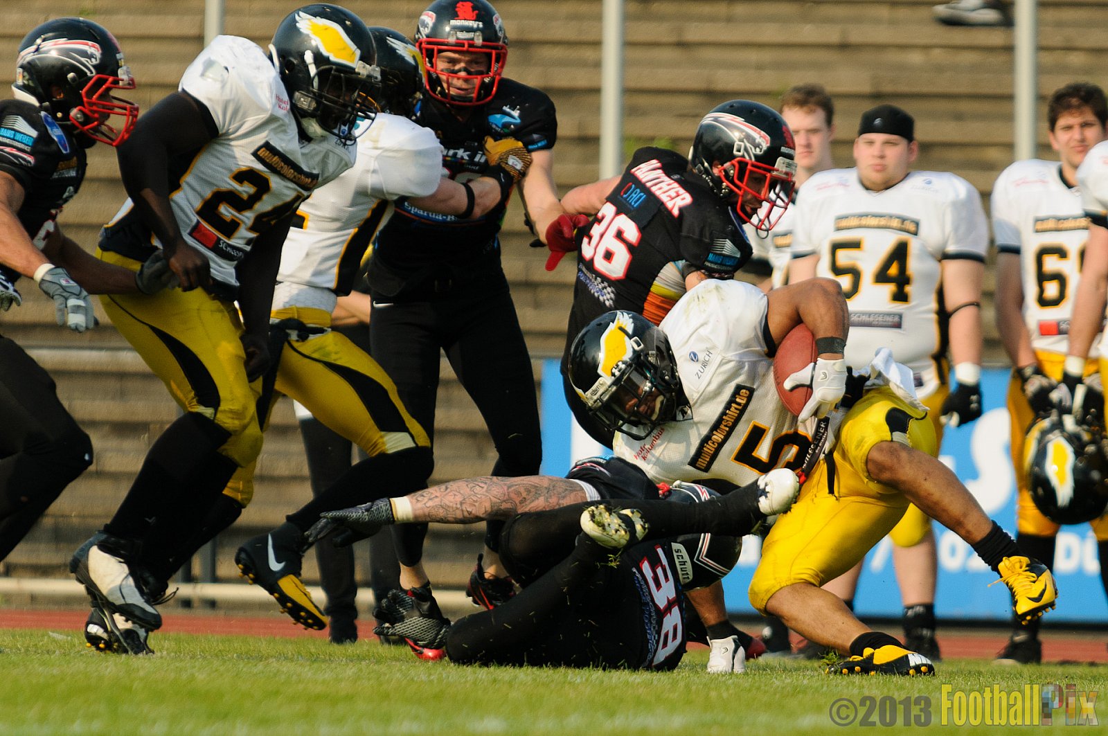 Düsseldorf Panther	vs. Berlin Adler  - 08.06.2013 GFL Nord: Düsseldorf Panther vs. Berlin Adler (10:27)