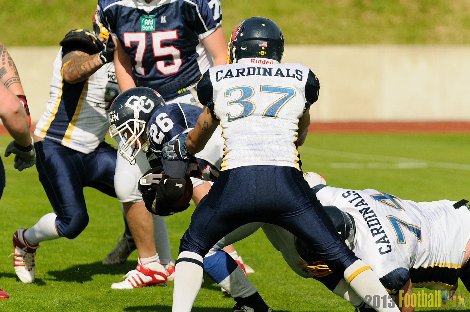 Essen Assindia Cardinals vs. Dortmund Giants  - 15.06.2013 Essen Assindia Cardinals vs. Dortmund Giants (3:9) 