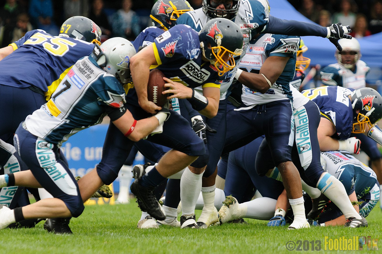 Remscheid Amboss vs. Essen Assindia Cardinals  - 23.06.2013 Remscheid Amboss vs. Essen Assindia Cardinals (10:0) 