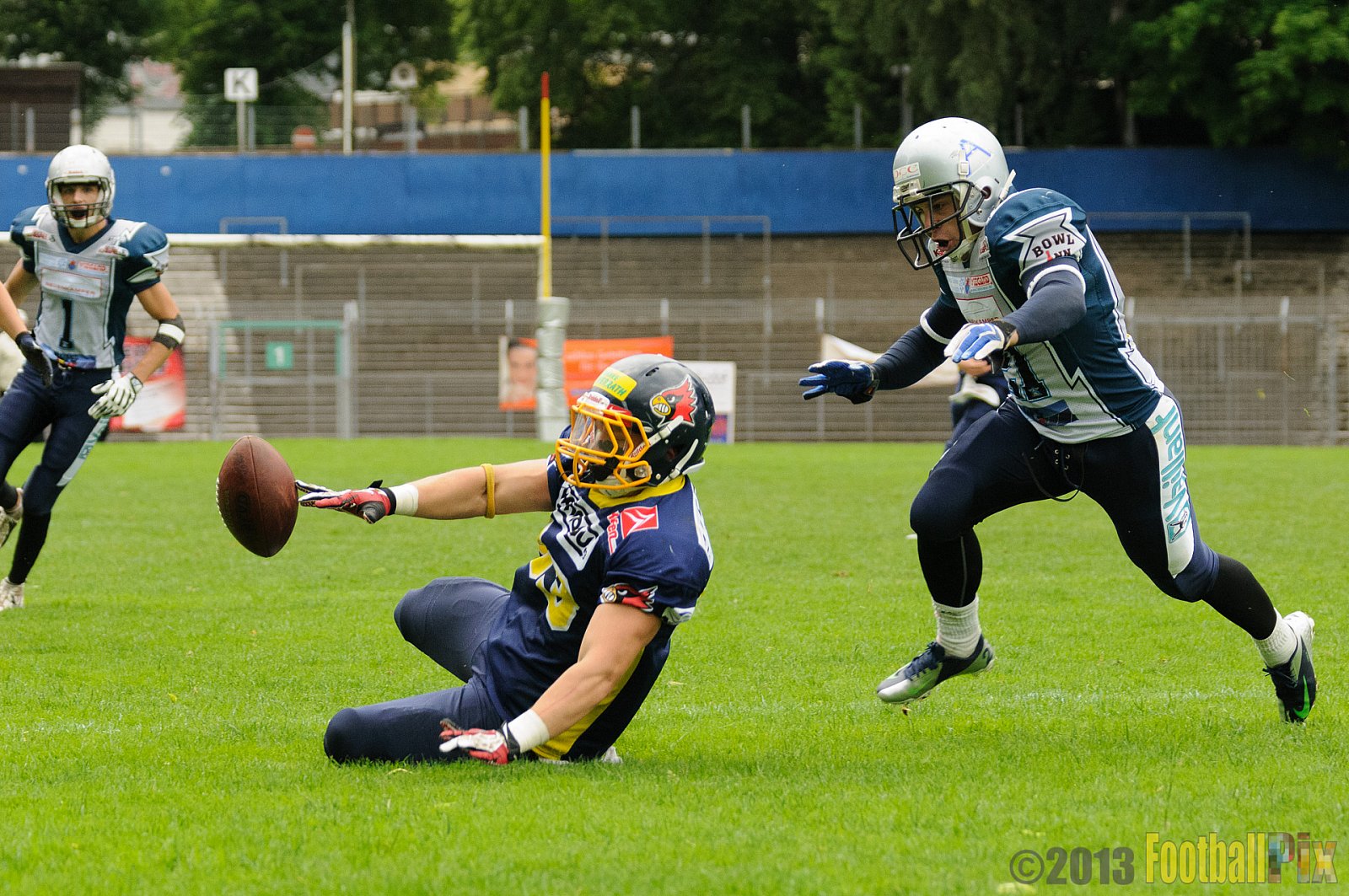 Remscheid Amboss vs. Essen Assindia Cardinals  - 23.06.2013 Remscheid Amboss vs. Essen Assindia Cardinals (10:0) 