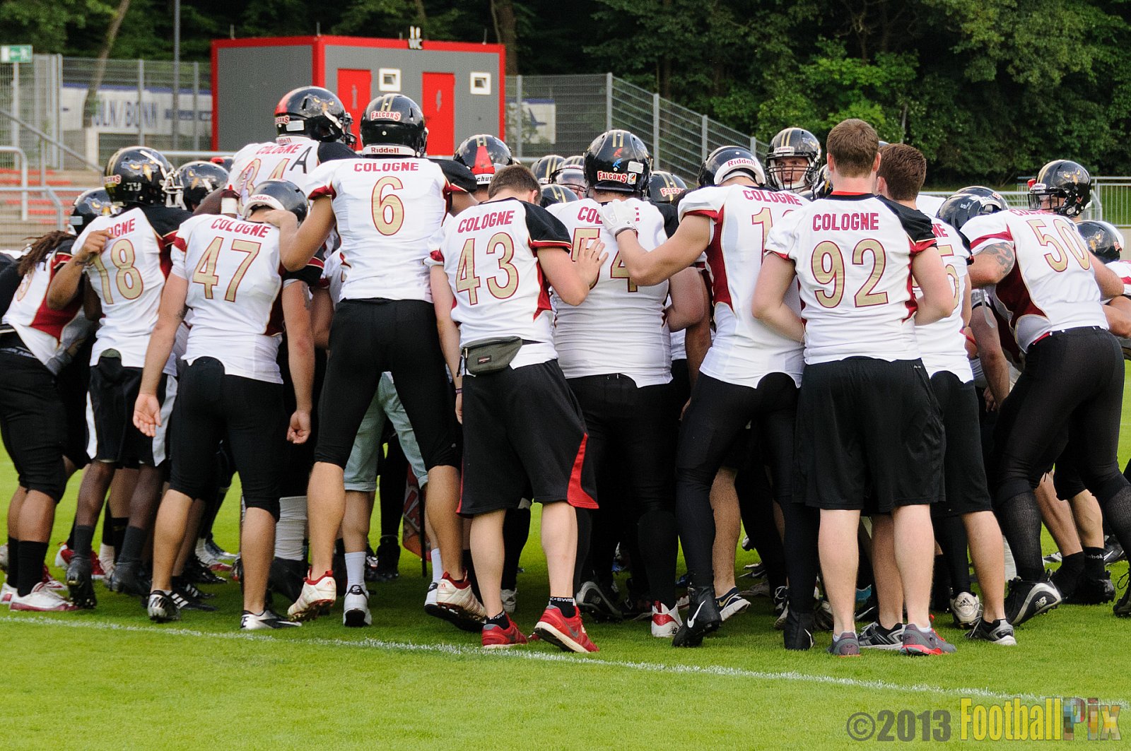 Cologne Falcons vs. Hamburg Blue Devils - 06.07.2013 GFL Nord: Cologne Falcons vs. Hamburg Blue Devils (14:42) 
