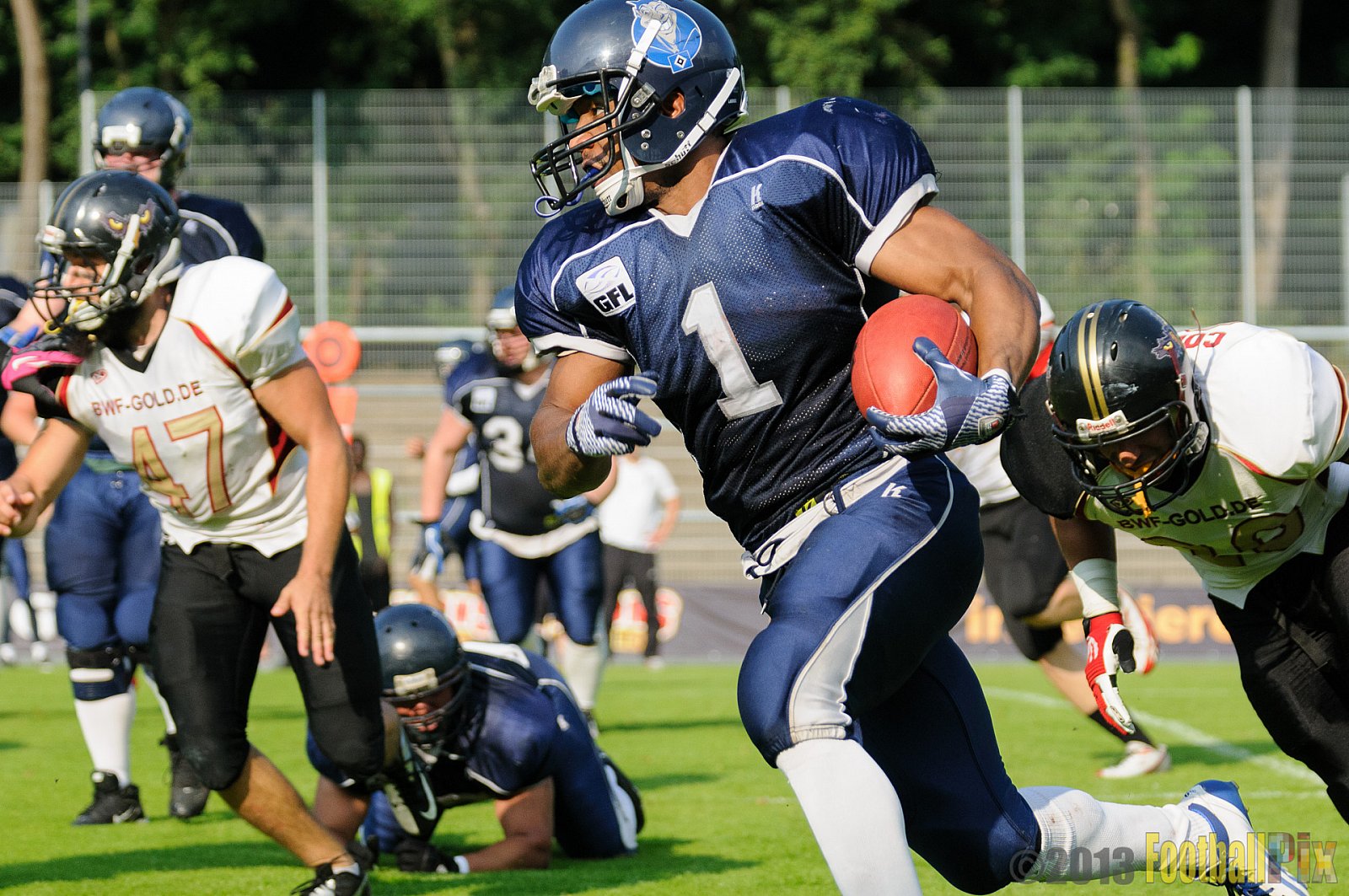 Cologne Falcons vs. Hamburg Blue Devils - 06.07.2013 GFL Nord: Cologne Falcons vs. Hamburg Blue Devils (14:42) 