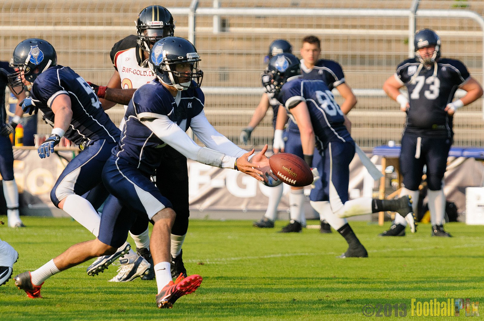 Cologne Falcons vs. Hamburg Blue Devils - 06.07.2013 GFL Nord: Cologne Falcons vs. Hamburg Blue Devils (14:42) 