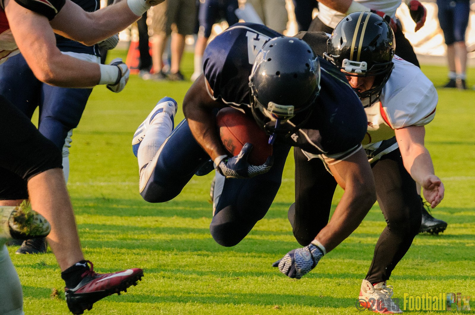 Cologne Falcons vs. Hamburg Blue Devils - 06.07.2013 GFL Nord: Cologne Falcons vs. Hamburg Blue Devils (14:42) 
