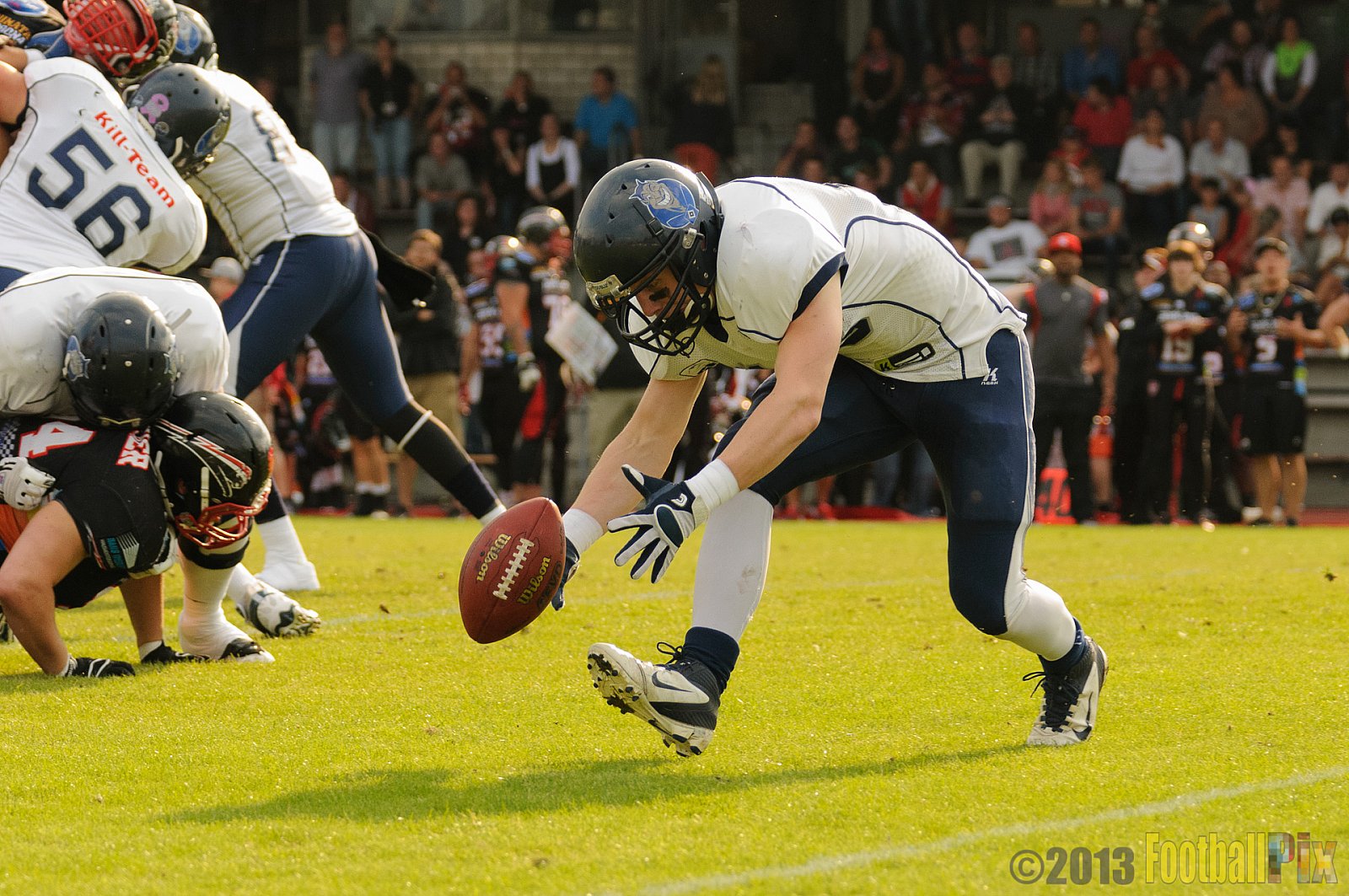 Düsseldorf Panther vs. Hamburg Blue Devils - 10.08.2013 GFL Nord: Düsseldorf Panther vs. Hamburg Blue Devils (28:9) 