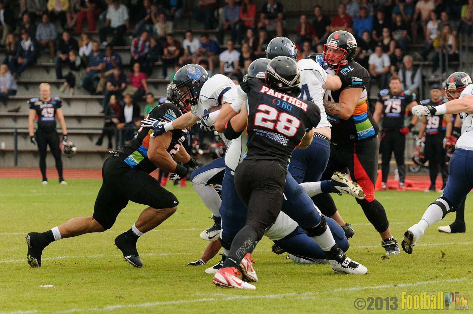 Düsseldorf Panther vs. Hamburg Blue Devils - 10.08.2013 GFL Nord: Düsseldorf Panther vs. Hamburg Blue Devils (28:9) 