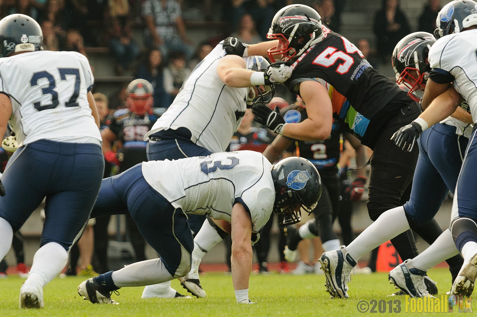 Düsseldorf Panther vs. Hamburg Blue Devils - 10.08.2013 GFL Nord: Düsseldorf Panther vs. Hamburg Blue Devils (28:9) 