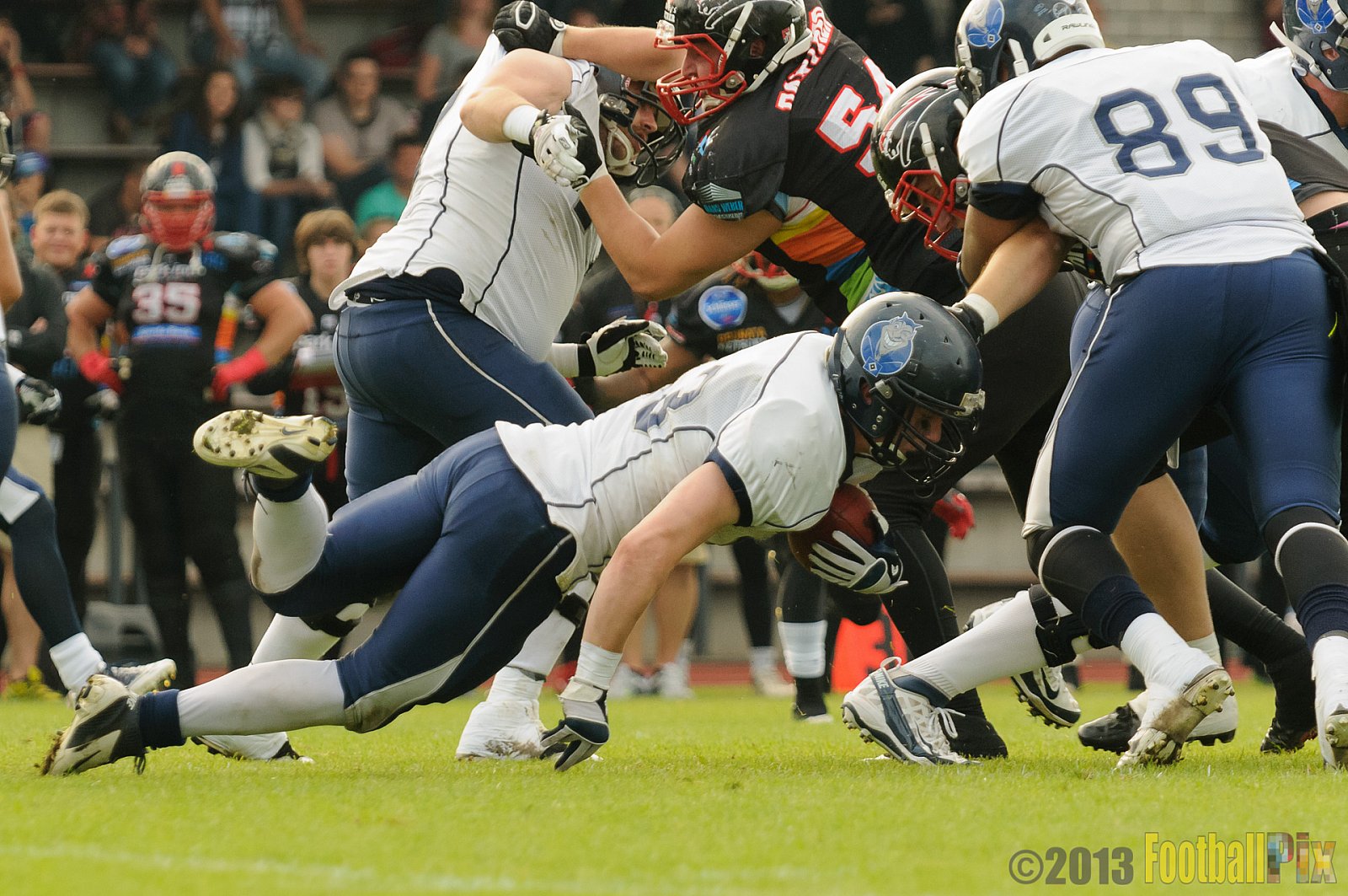 Düsseldorf Panther vs. Hamburg Blue Devils - 10.08.2013 GFL Nord: Düsseldorf Panther vs. Hamburg Blue Devils (28:9) 