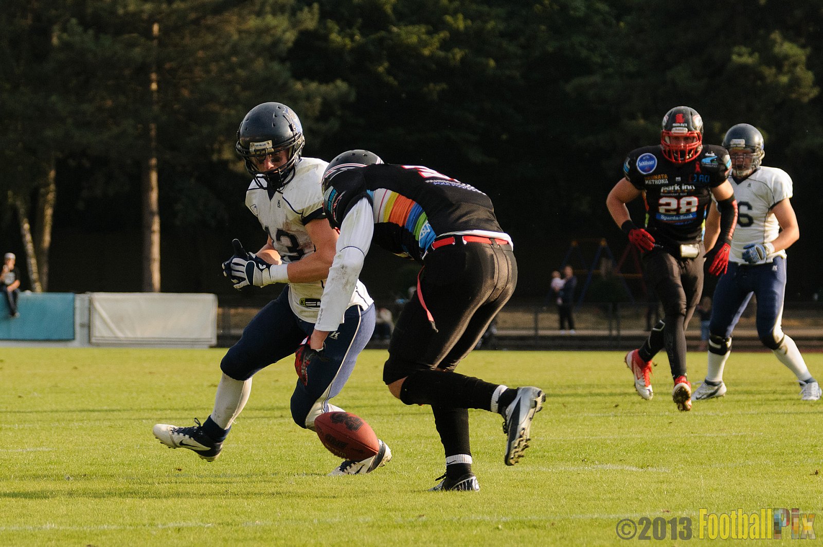 Düsseldorf Panther vs. Hamburg Blue Devils - 10.08.2013 GFL Nord: Düsseldorf Panther vs. Hamburg Blue Devils (28:9) 