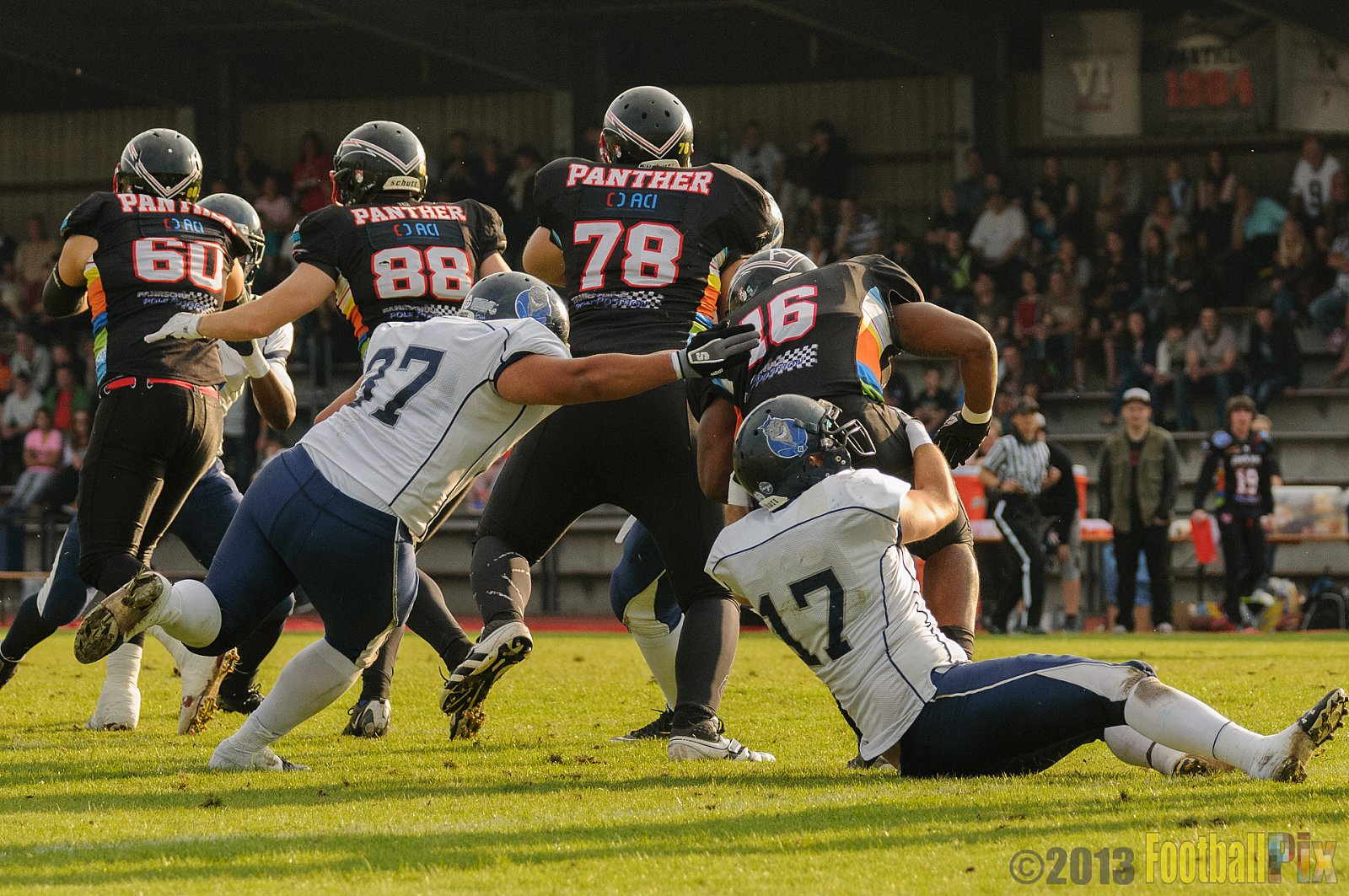 Düsseldorf Panther vs. Hamburg Blue Devils - 10.08.2013 GFL Nord: Düsseldorf Panther vs. Hamburg Blue Devils (28:9) 