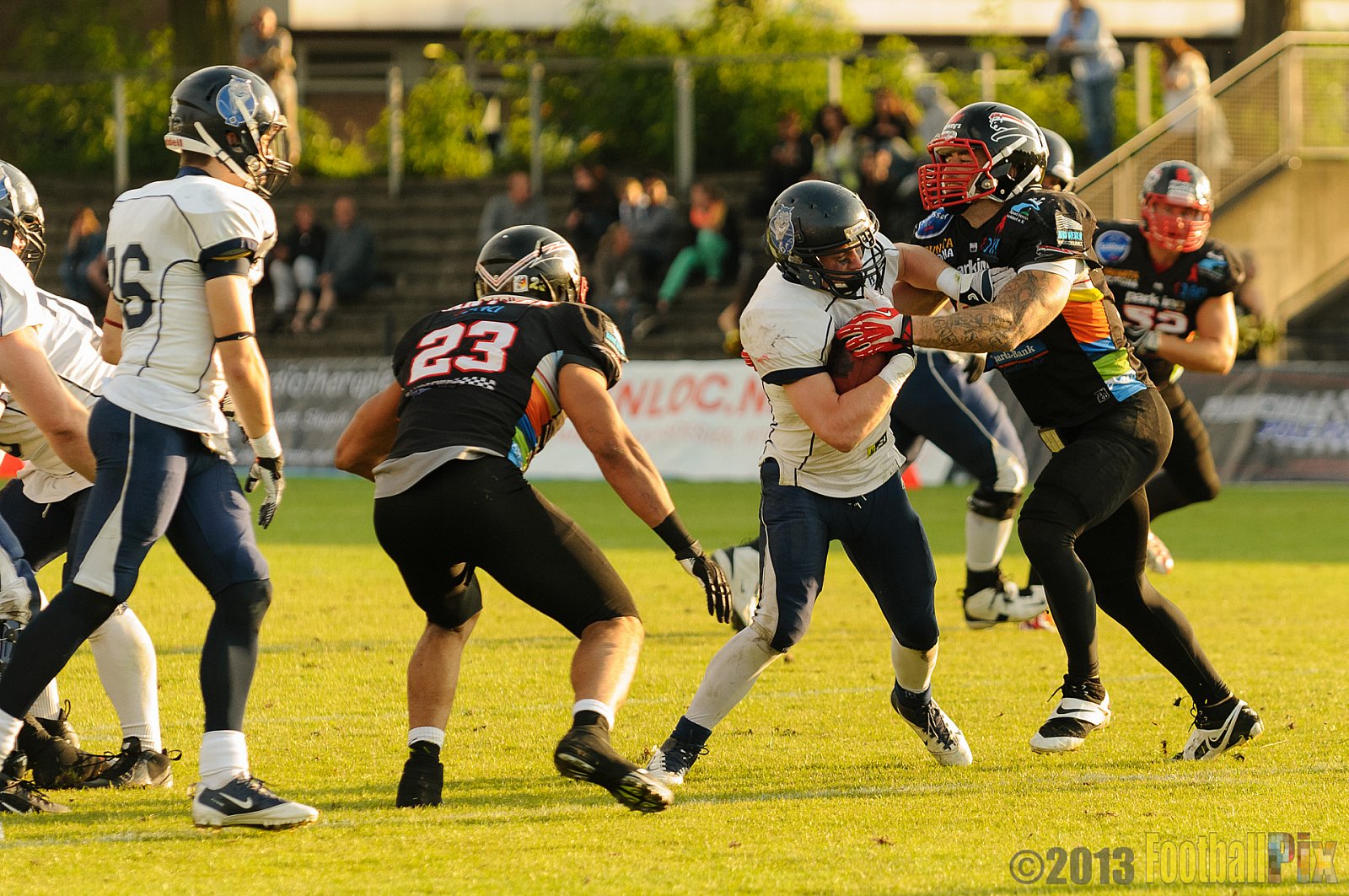 Düsseldorf Panther vs. Hamburg Blue Devils - 10.08.2013 GFL Nord: Düsseldorf Panther vs. Hamburg Blue Devils (28:9) 