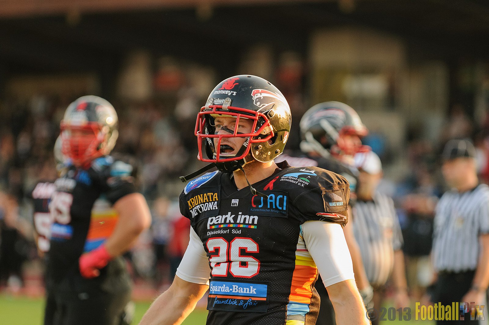 Düsseldorf Panther vs. Hamburg Blue Devils - 10.08.2013 GFL Nord: Düsseldorf Panther vs. Hamburg Blue Devils (28:9) 