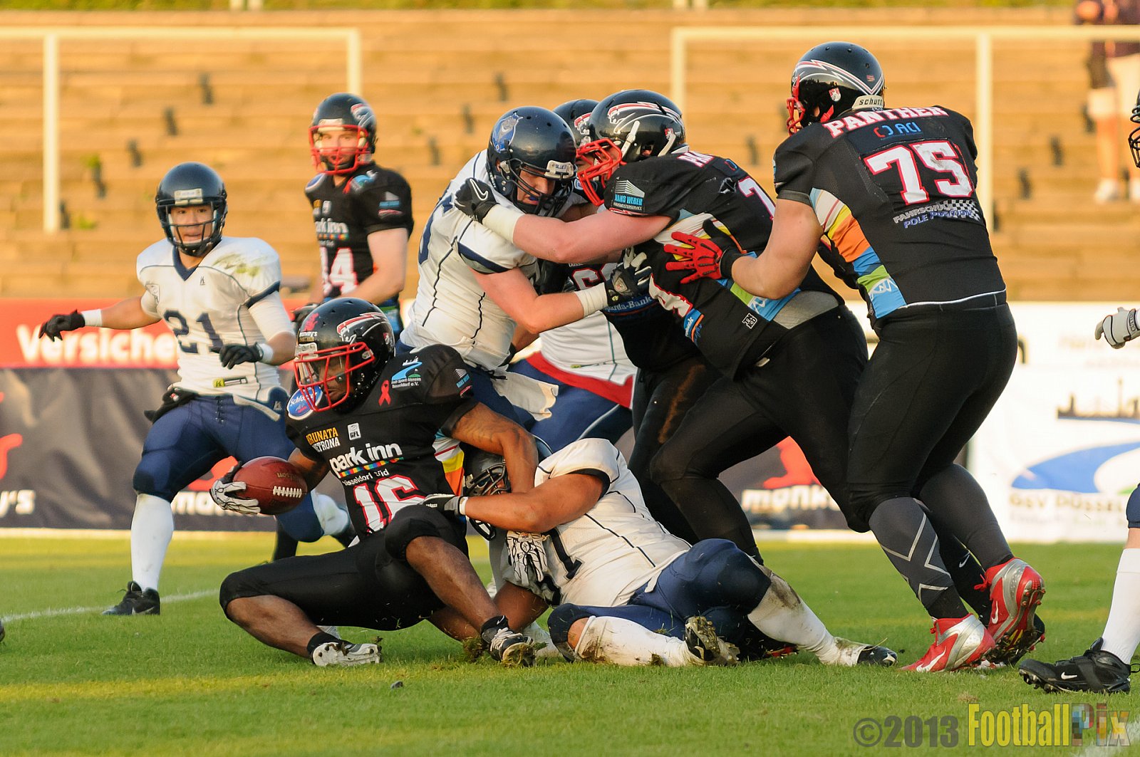 Düsseldorf Panther vs. Hamburg Blue Devils - 10.08.2013 GFL Nord: Düsseldorf Panther vs. Hamburg Blue Devils (28:9) 