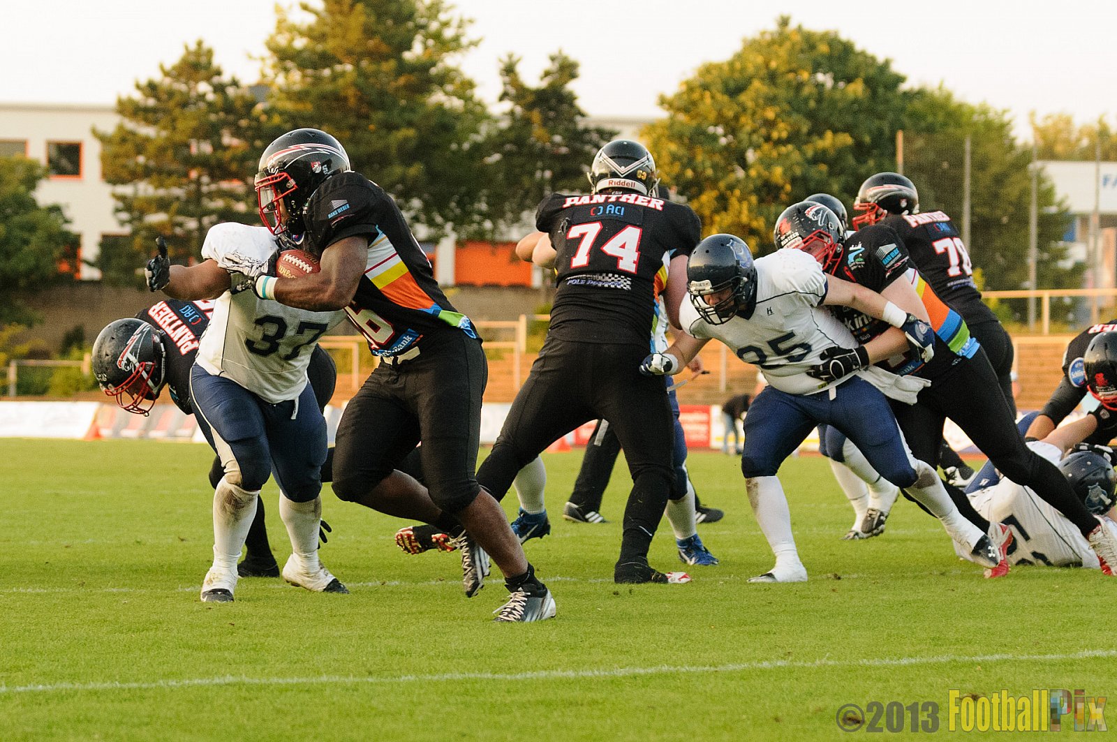 Düsseldorf Panther vs. Hamburg Blue Devils - 10.08.2013 GFL Nord: Düsseldorf Panther vs. Hamburg Blue Devils (28:9) 