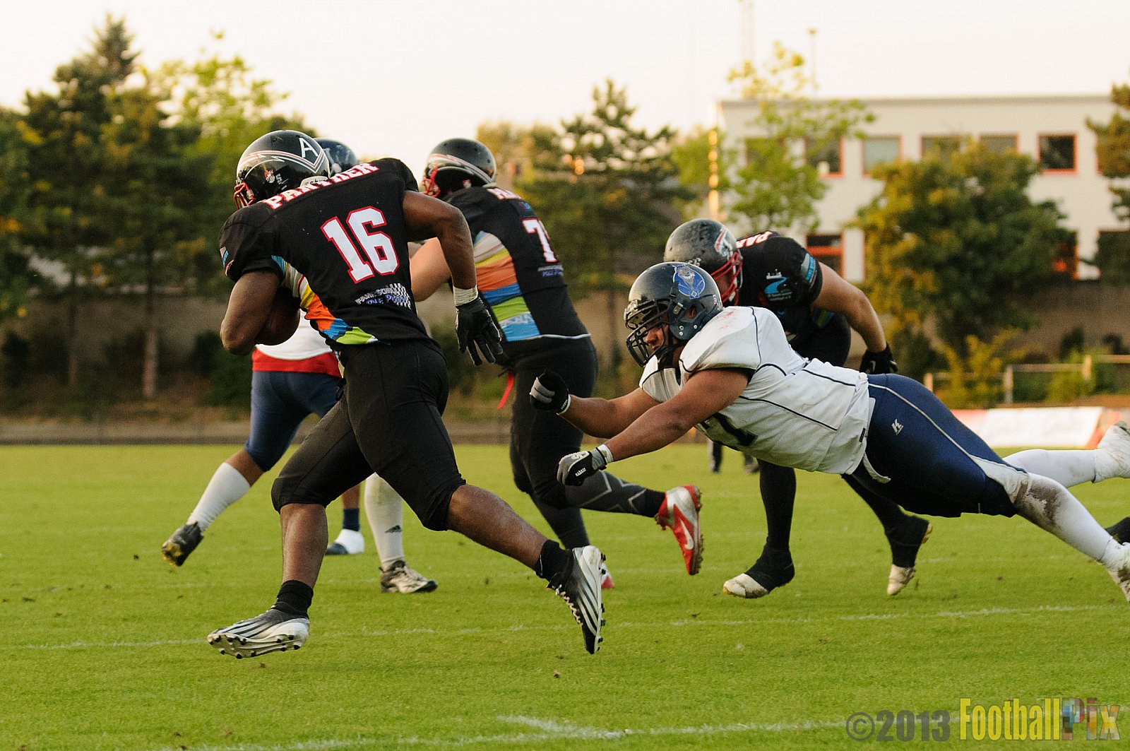 Düsseldorf Panther vs. Hamburg Blue Devils - 10.08.2013 GFL Nord: Düsseldorf Panther vs. Hamburg Blue Devils (28:9) 