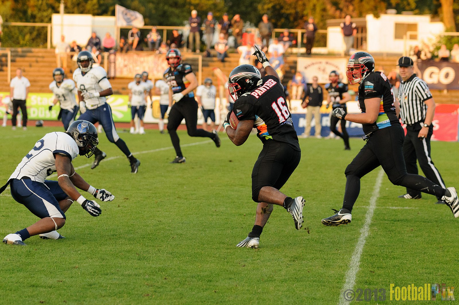 Düsseldorf Panther vs. Hamburg Blue Devils - 10.08.2013 GFL Nord: Düsseldorf Panther vs. Hamburg Blue Devils (28:9) 