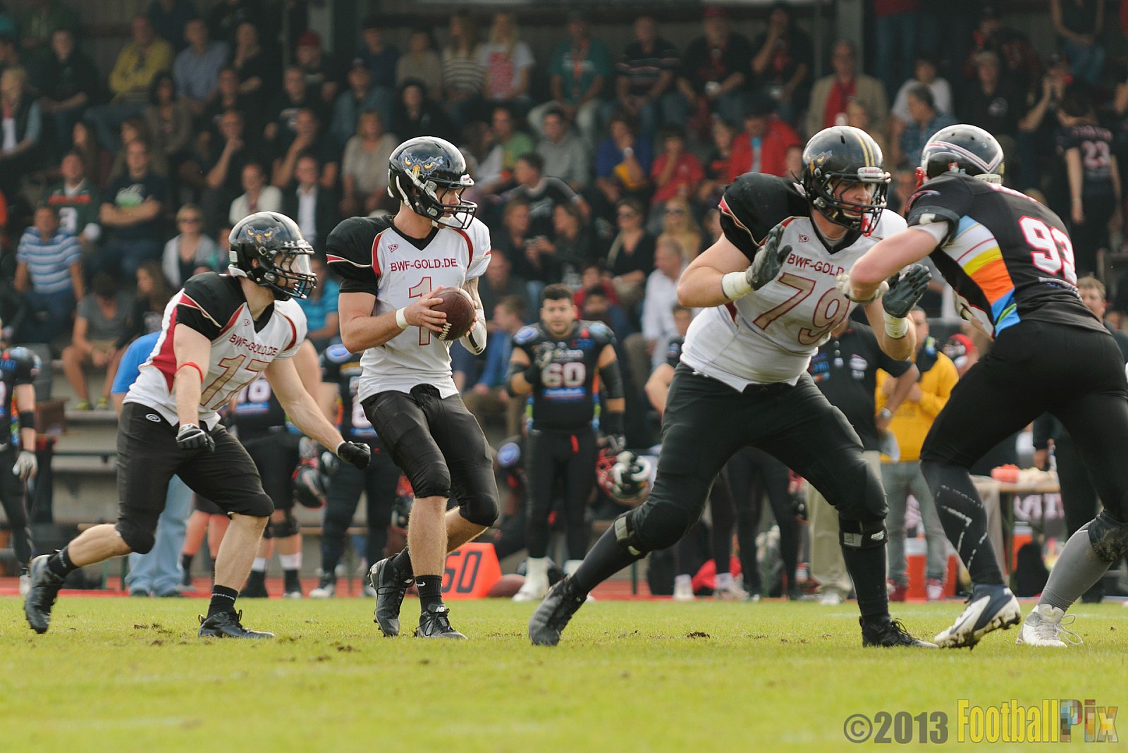 Düsseldorf Panther vs. Cologne Falcons - 31.08.2013 GFL Nord: Düsseldorf Panther vs. Cologne Falcons (28:21) 