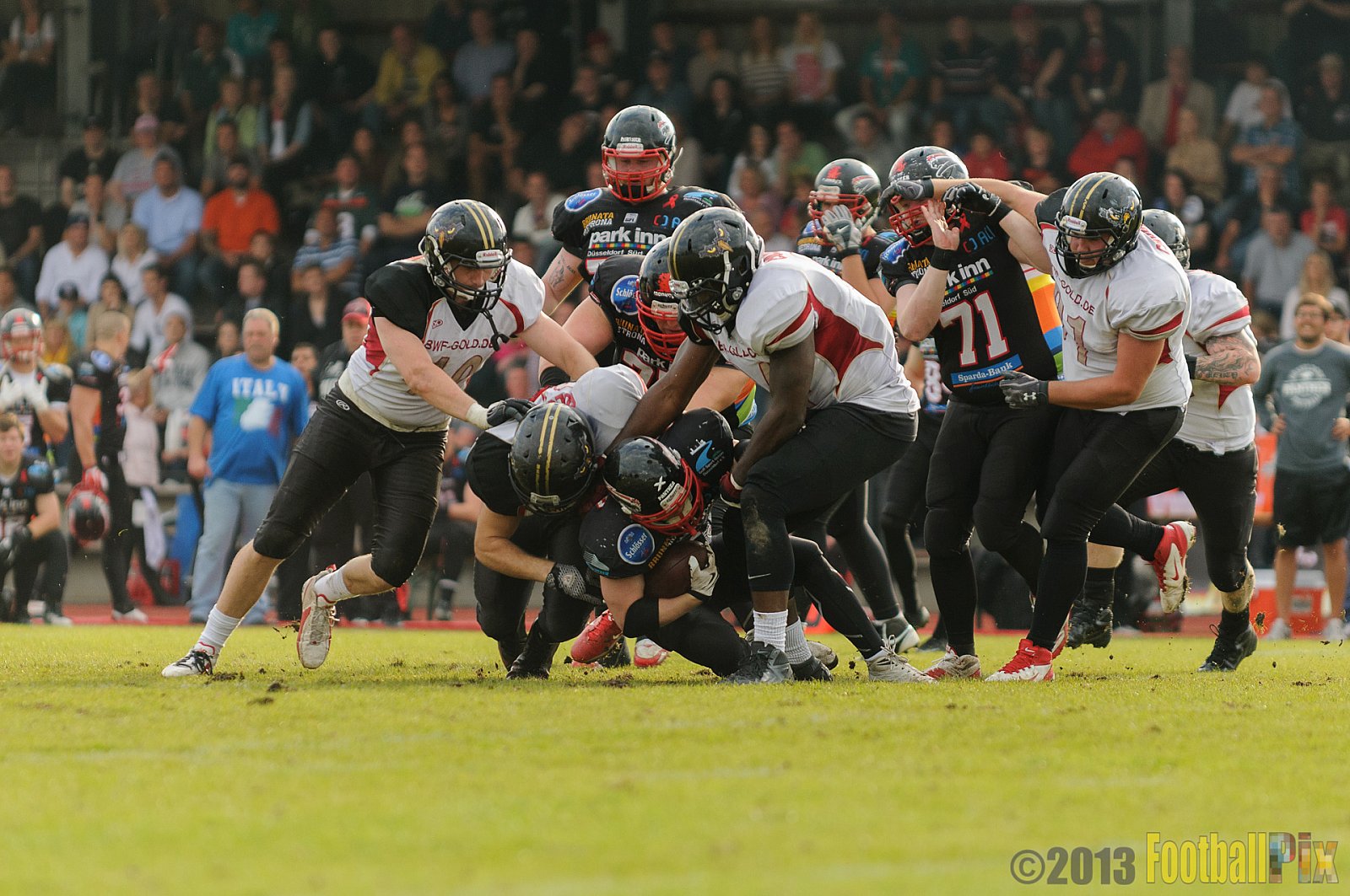 Düsseldorf Panther vs. Cologne Falcons - 31.08.2013 GFL Nord: Düsseldorf Panther vs. Cologne Falcons (28:21) 