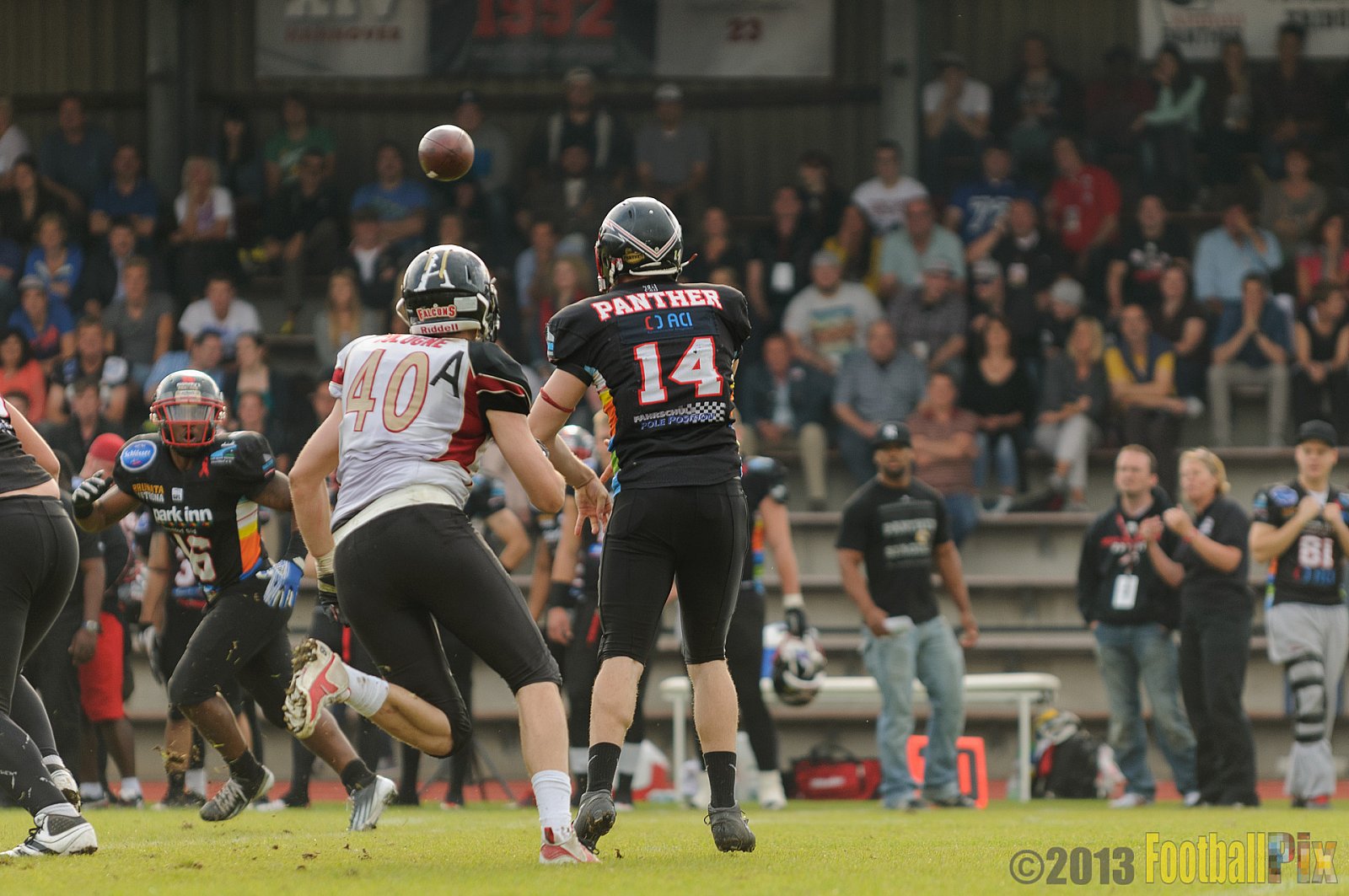 Düsseldorf Panther vs. Cologne Falcons - 31.08.2013 GFL Nord: Düsseldorf Panther vs. Cologne Falcons (28:21) 