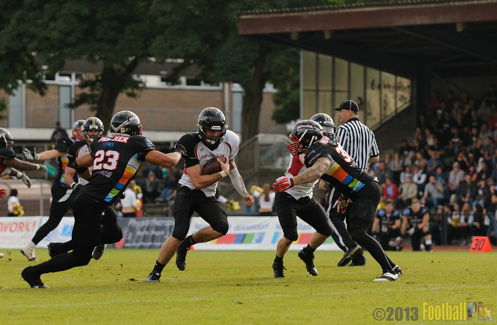 Düsseldorf Panther vs. Cologne Falcons - 31.08.2013 GFL Nord: Düsseldorf Panther vs. Cologne Falcons (28:21) 