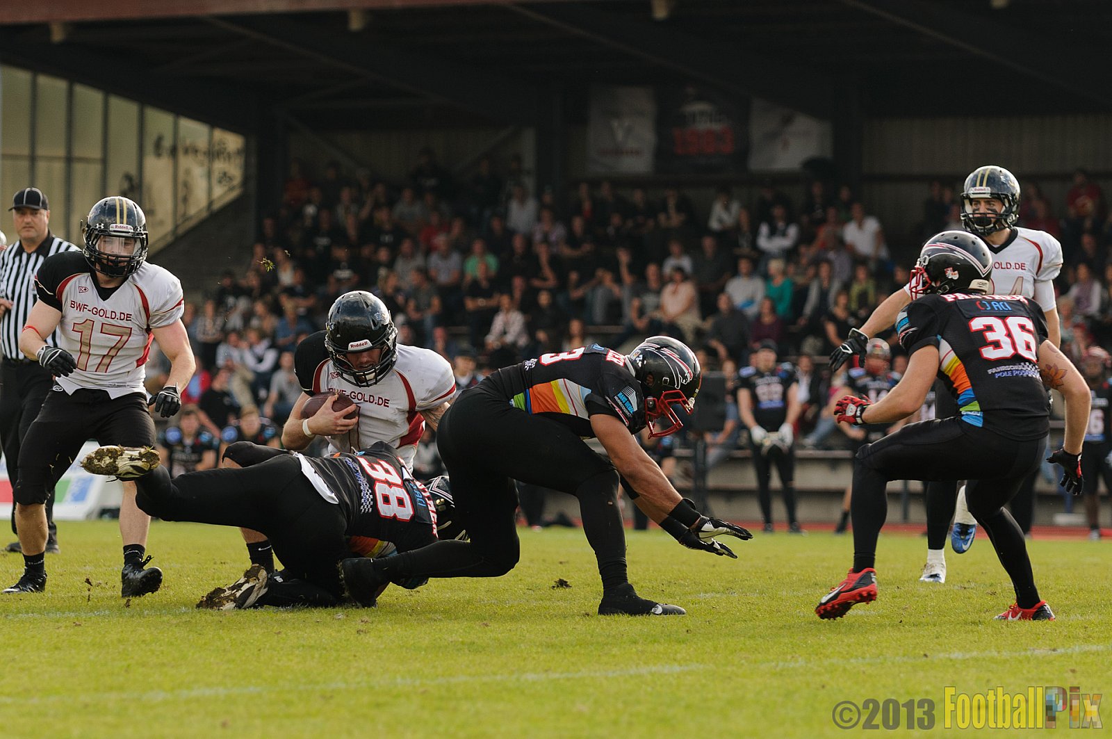 Düsseldorf Panther vs. Cologne Falcons - 31.08.2013 GFL Nord: Düsseldorf Panther vs. Cologne Falcons (28:21) 