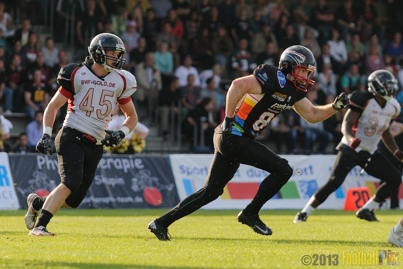 Düsseldorf Panther vs. Cologne Falcons - 31.08.2013 GFL Nord: Düsseldorf Panther vs. Cologne Falcons (28:21) 