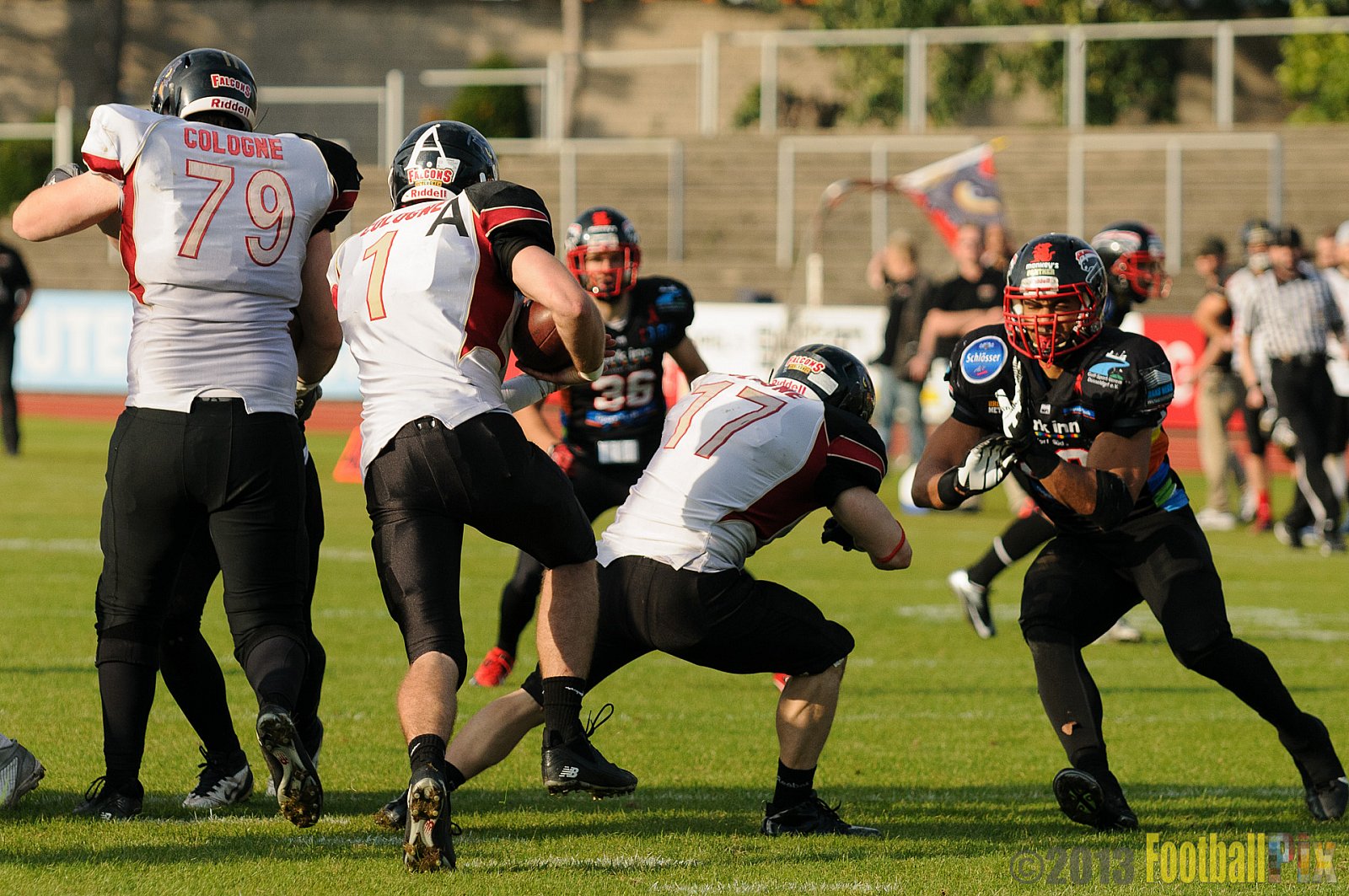 Düsseldorf Panther vs. Cologne Falcons - 31.08.2013 GFL Nord: Düsseldorf Panther vs. Cologne Falcons (28:21) 