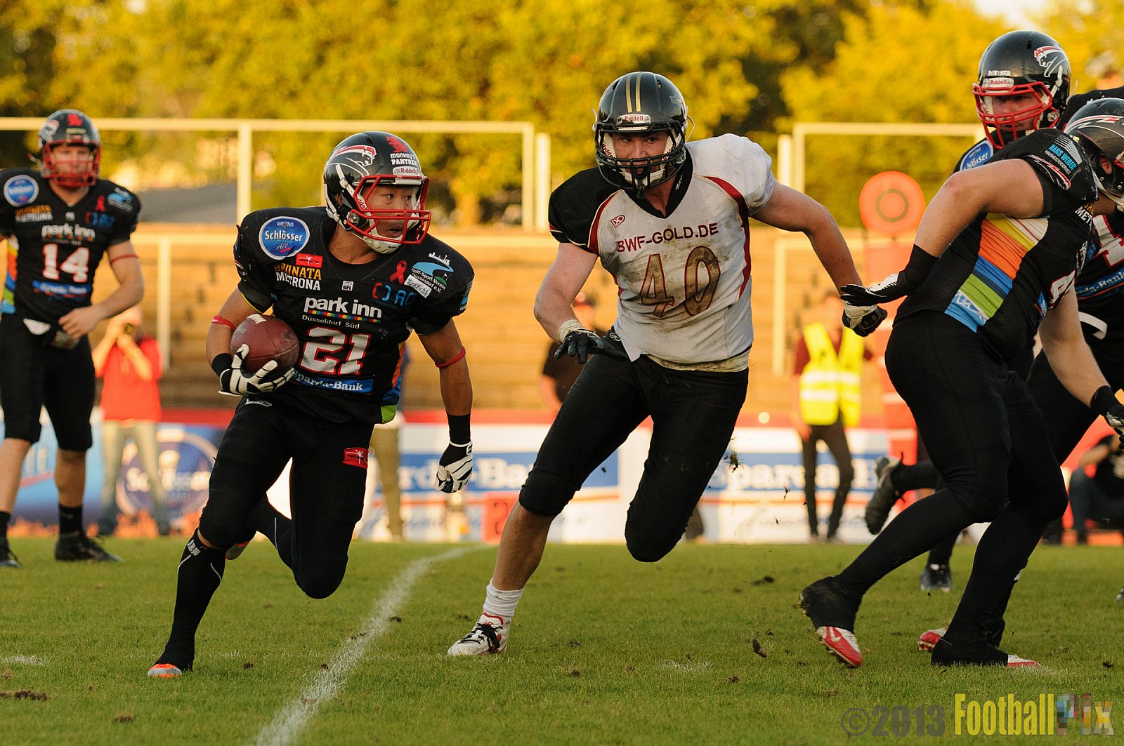 Düsseldorf Panther vs. Cologne Falcons - 31.08.2013 GFL Nord: Düsseldorf Panther vs. Cologne Falcons (28:21) 