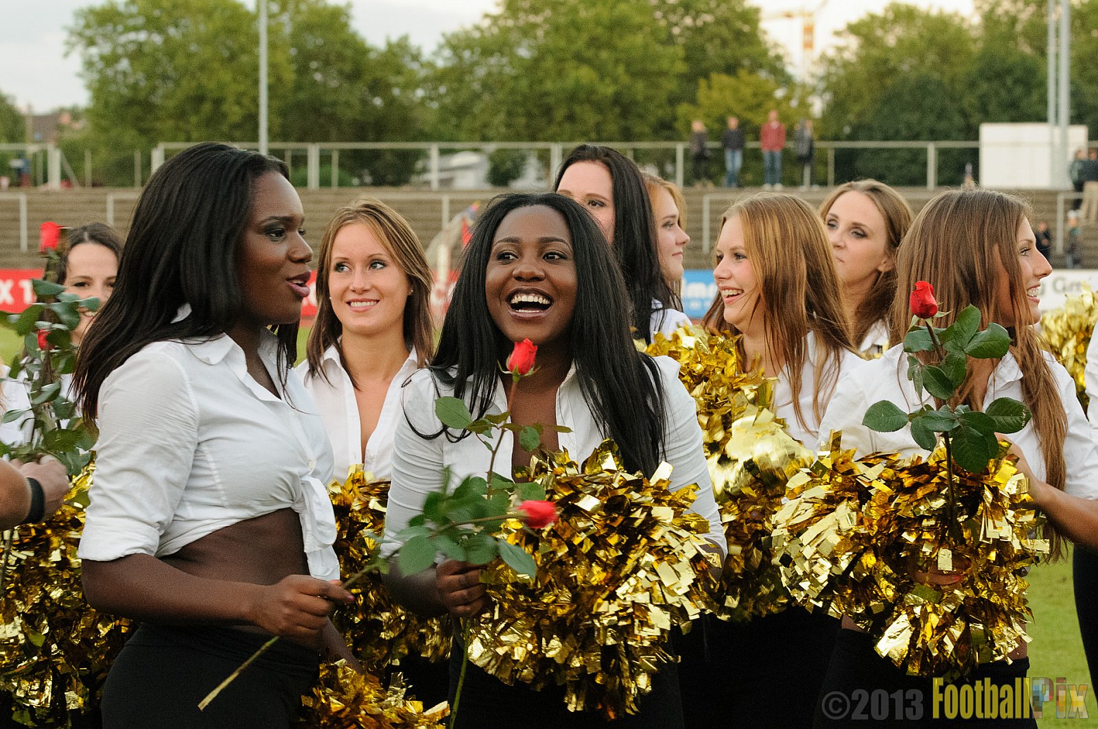 Düsseldorf Panther vs. Cologne Falcons - 31.08.2013 GFL Nord: Düsseldorf Panther vs. Cologne Falcons (28:21) 