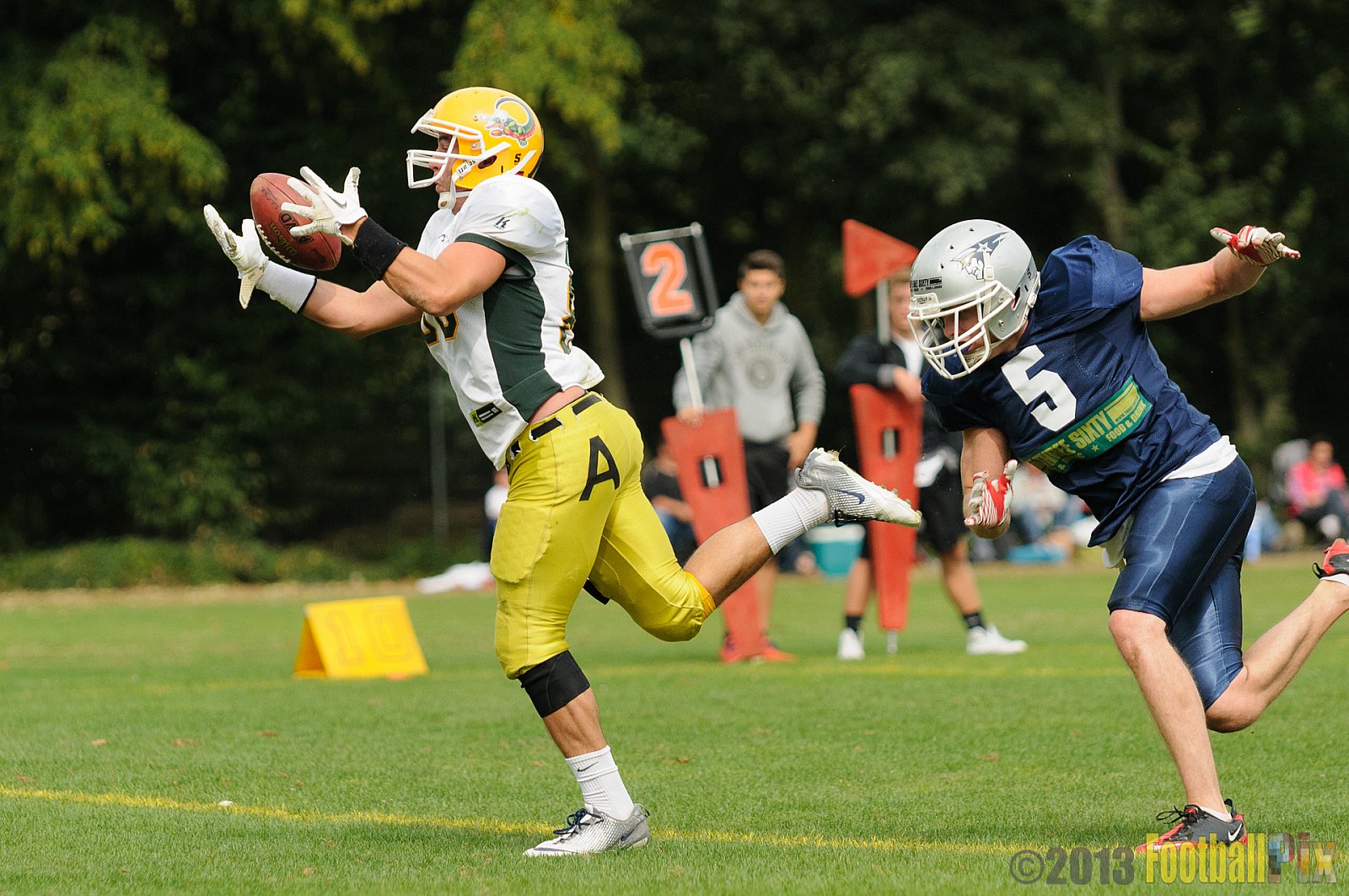 Cologne Crocodiles vs. Bochum Cadets - 01.09.2013 Cologne Crocodiles vs. Bochum Cadets (51:3) 