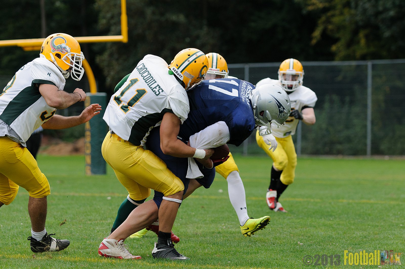 Cologne Crocodiles vs. Bochum Cadets - 01.09.2013 Cologne Crocodiles vs. Bochum Cadets (51:3) 