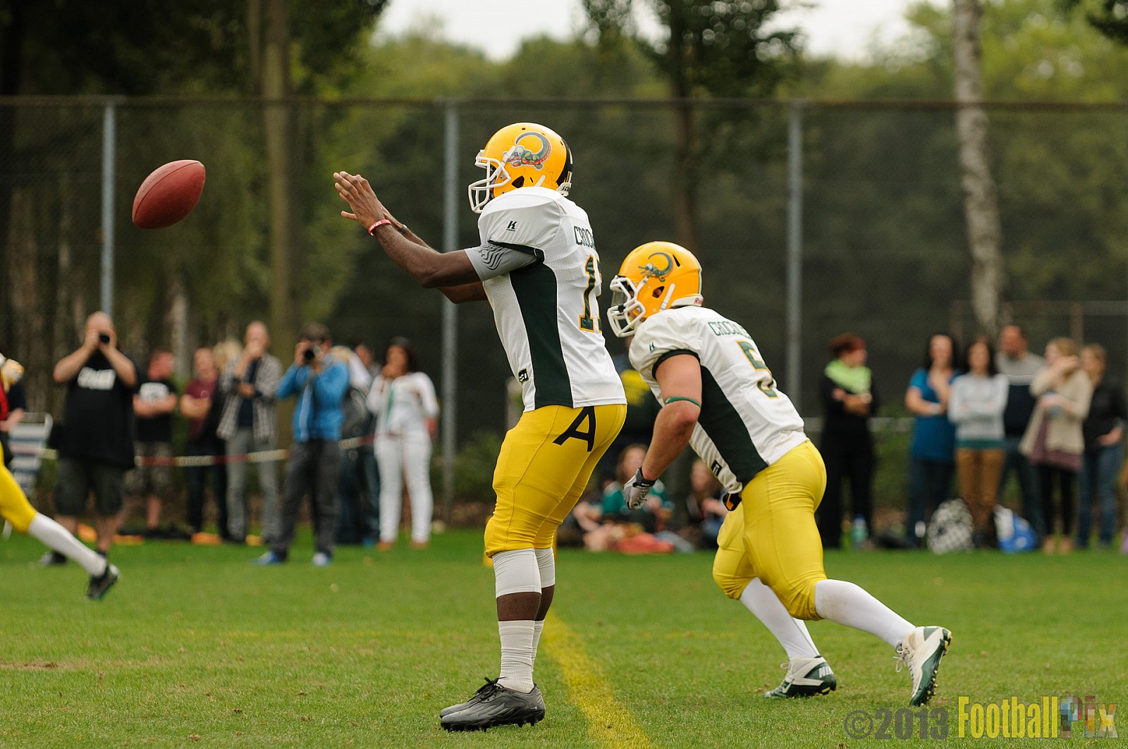 Cologne Crocodiles vs. Bochum Cadets - 01.09.2013 Cologne Crocodiles vs. Bochum Cadets (51:3) 